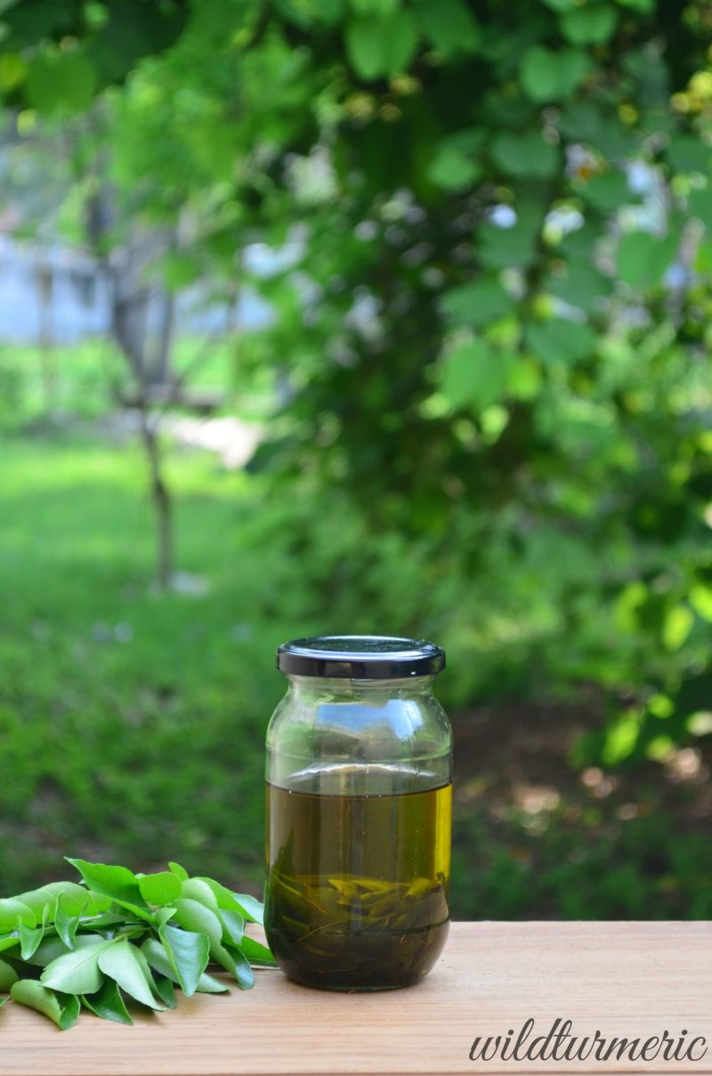 3 Top Ways To Use Curry Leaves For Hair Growth Wildturmeric