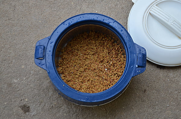 alfalfa plant benefits