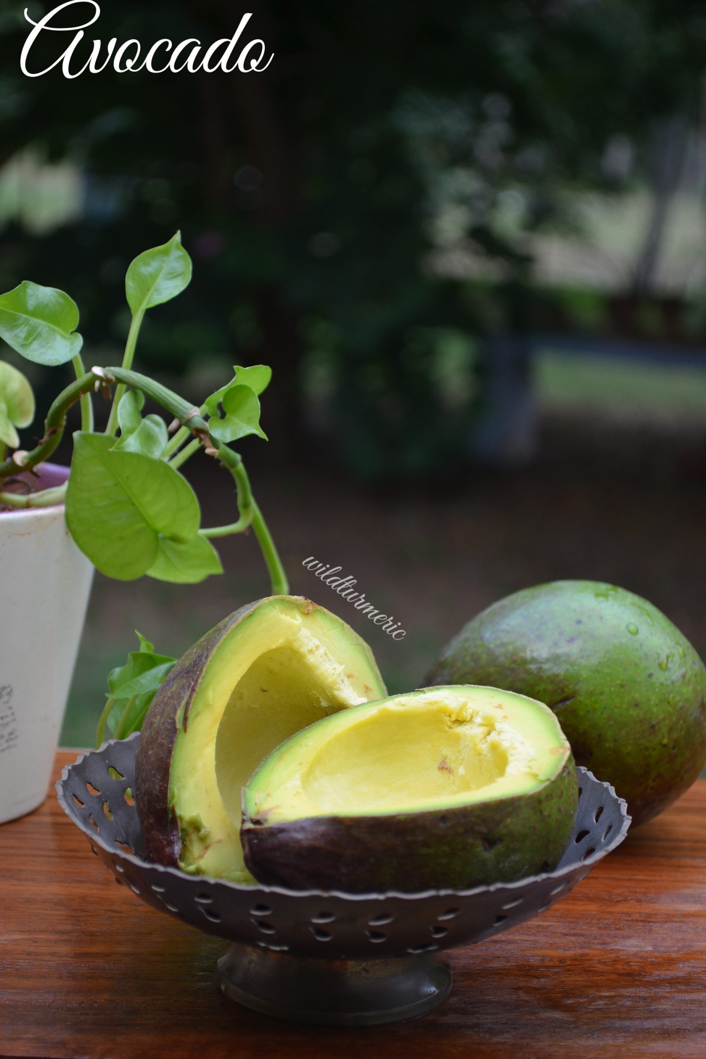 avocado side effects