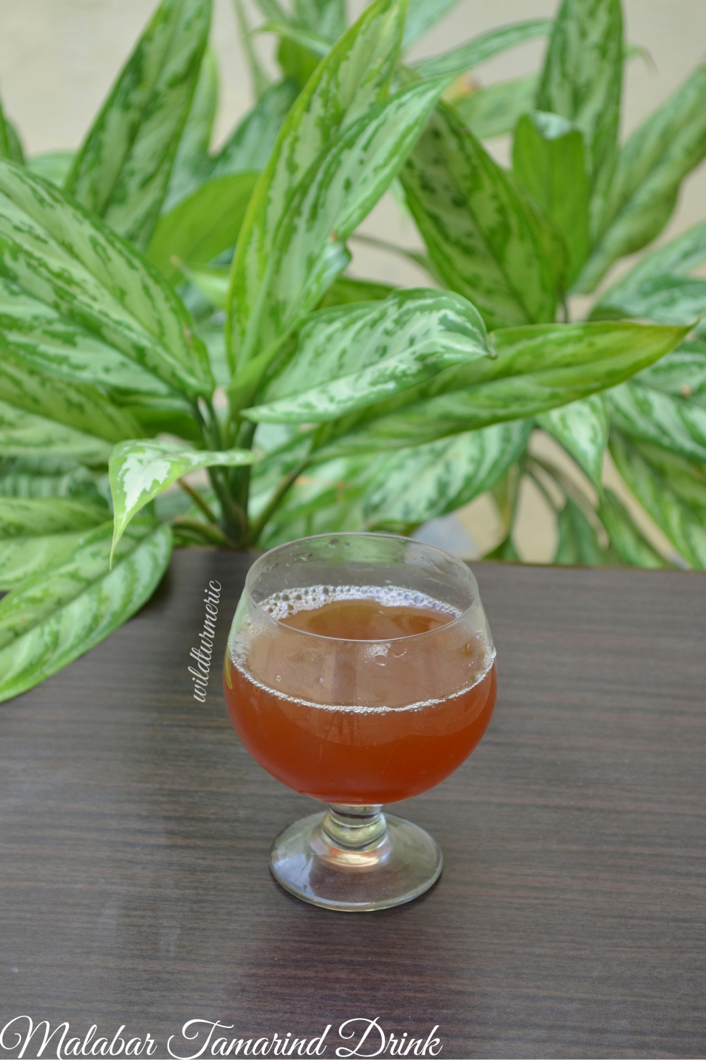 best drink for weight loss