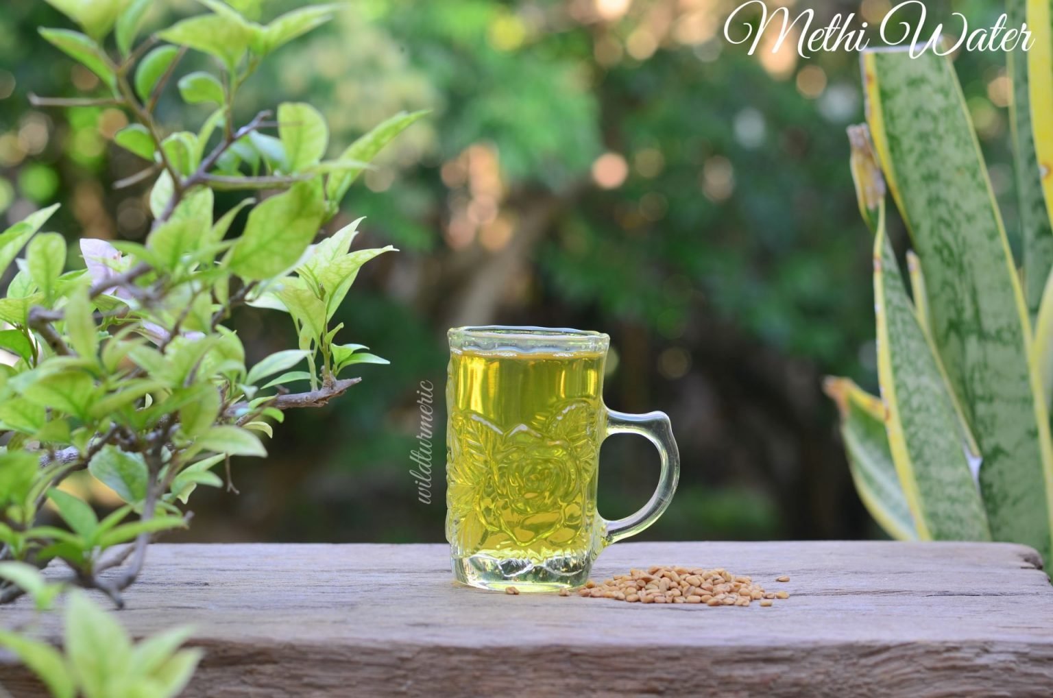 5-top-benefits-of-methi-water-fenugreek-water-wildturmeric