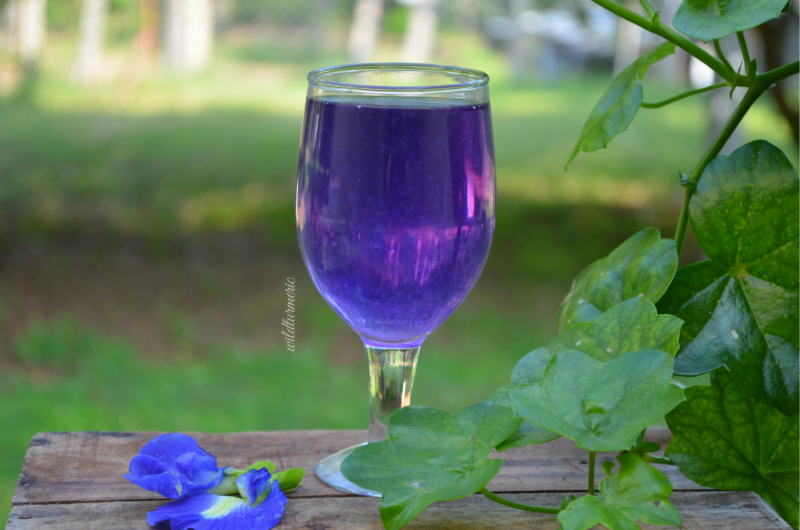 10-top-health-benefits-of-blue-butterfly-pea-flower-tea-clitoria