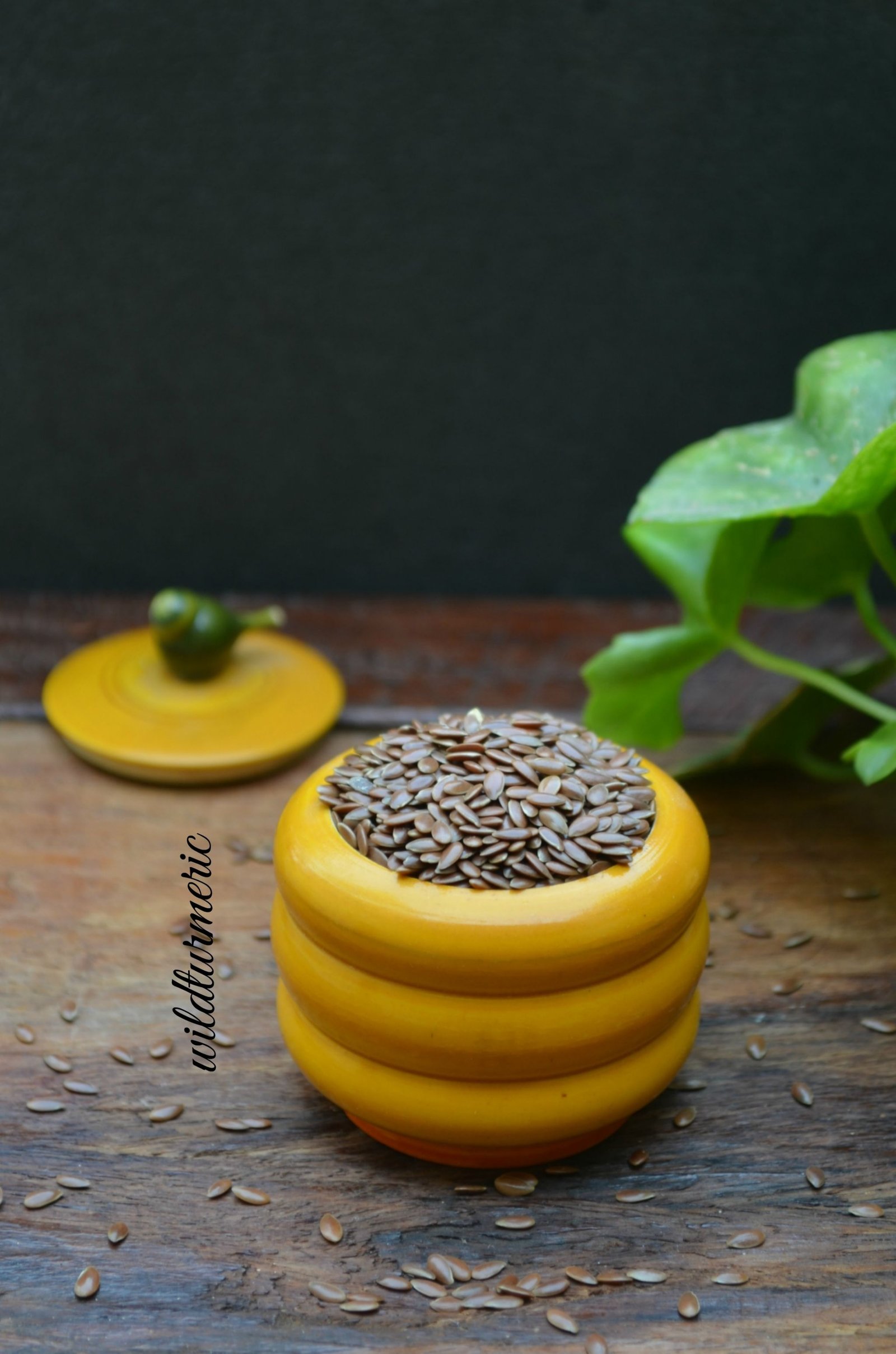 How To Use Flaxseed & Flaxseed Oil For Hair Growth? Wildturmeric