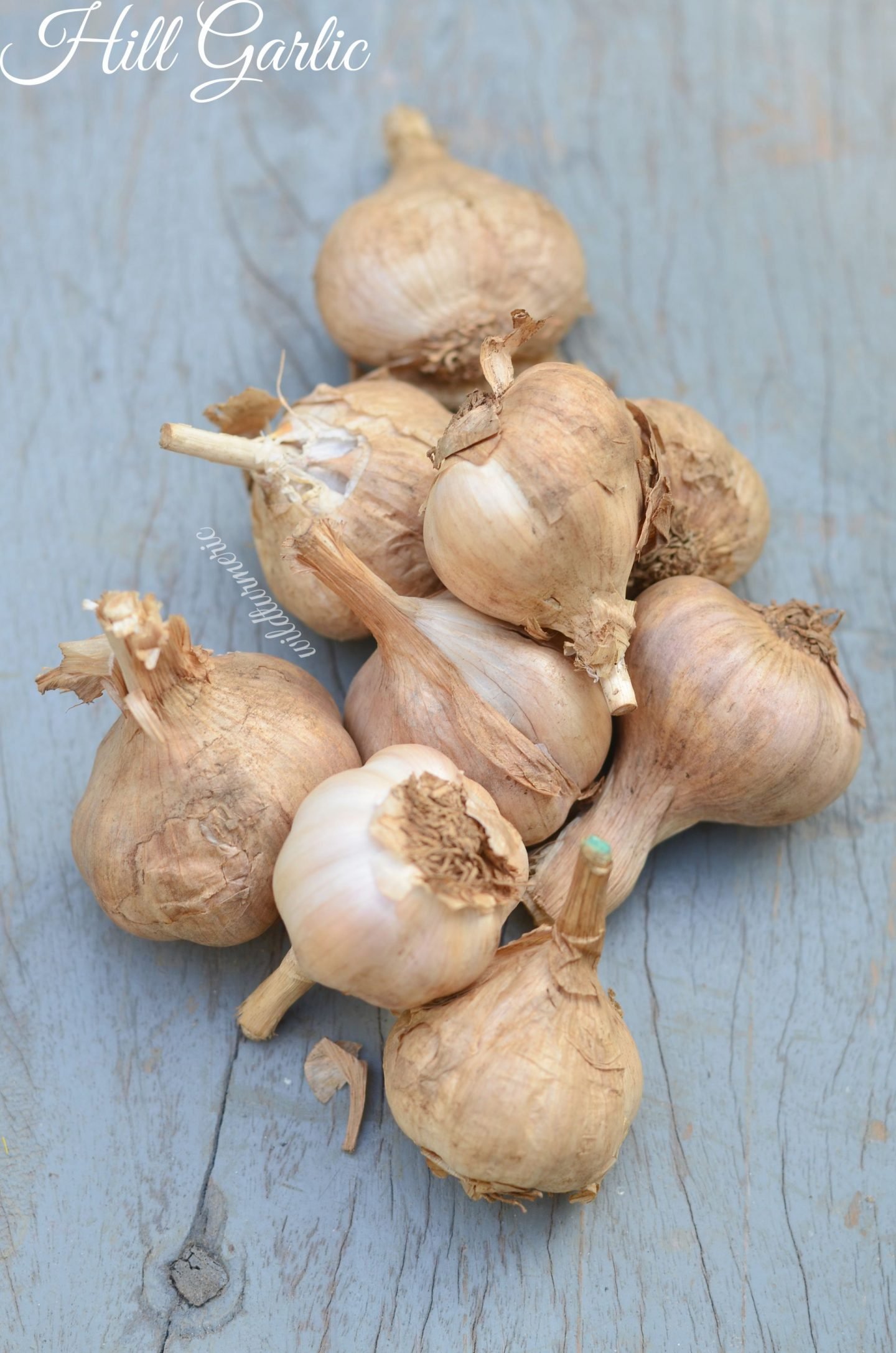 10 Top Benefits Uses Of Garlic For Skin Hair Health