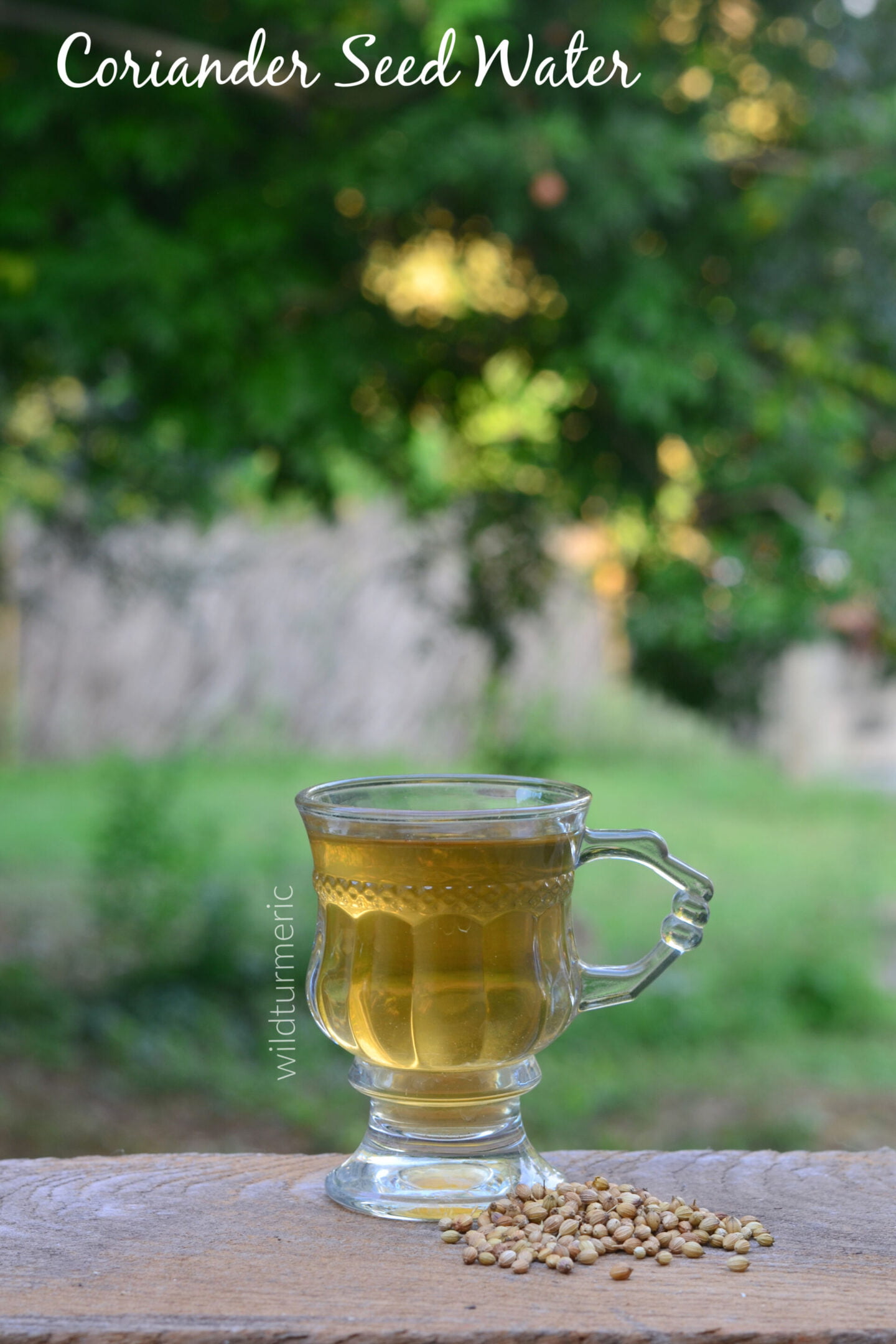 coriander seed water benefits